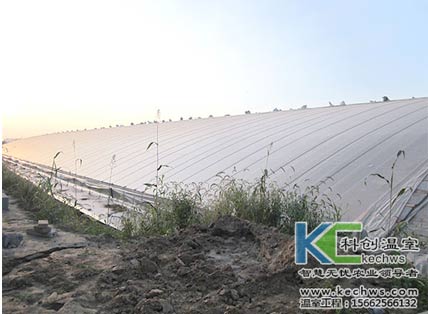 無土栽培，無土栽培技術，無土栽培設備