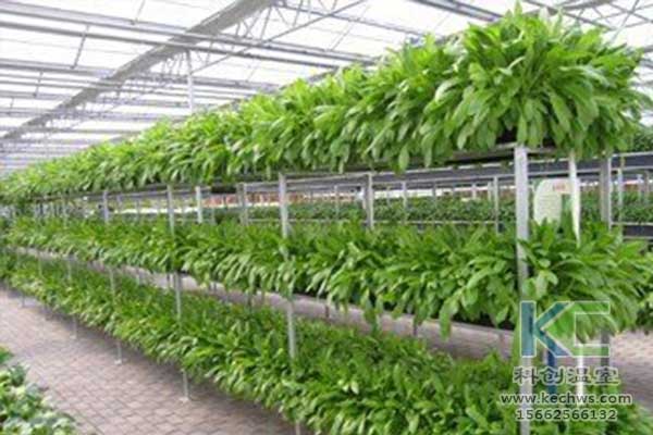 無(wú)土栽培，無(wú)土栽培技術(shù)，無(wú)土栽培設(shè)備