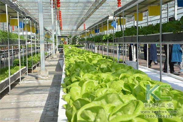 無(wú)土栽培，無(wú)土栽培技術(shù)，無(wú)土栽培設(shè)備