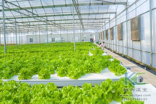 無土栽培，無土栽培技術(shù)，無土栽培設(shè)備