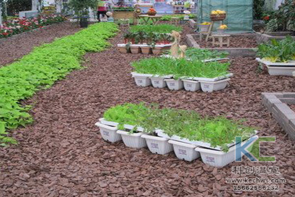 無土栽培技術(shù),無土栽培設(shè)備,無土栽培,溫室大棚