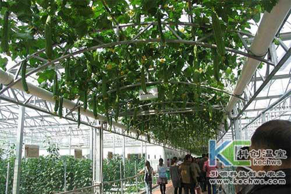 無土栽培，無土栽培技術(shù)，無土栽培設(shè)備