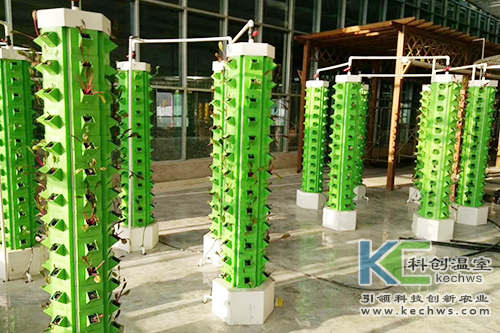 無(wú)土栽培,基質(zhì)栽培,水培