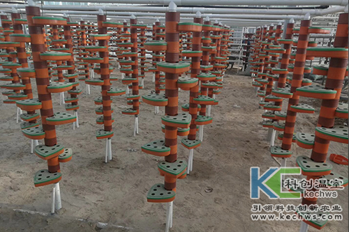 無土栽培,無土栽培技術,工程