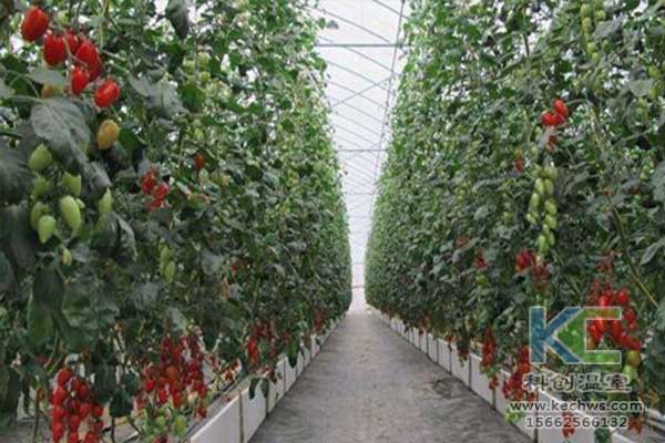 無(wú)土栽培，無(wú)土栽培技術(shù)，無(wú)土栽培設(shè)備