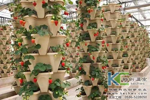 無(wú)土栽培,無(wú)土栽培技術(shù),無(wú)土栽培設(shè)備