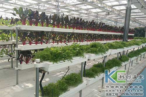 無土栽培，無土栽培技術，無土栽培設備