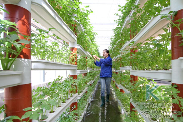 無土栽培，無土栽培技術，無土栽培設備