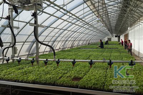 無土栽培技術，無土栽培設備，營養液，溫室大棚