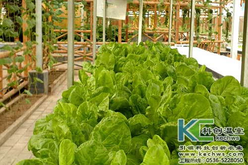 無土栽培，無土栽培技術