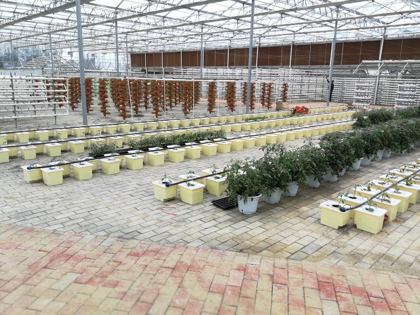 無土栽培，無土栽培技術，無土栽培設備