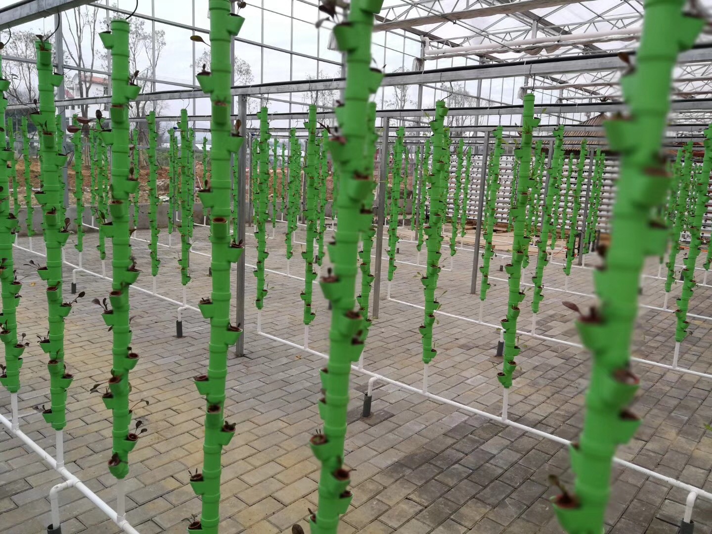 無土栽培，無土栽培技術，無土栽培設備