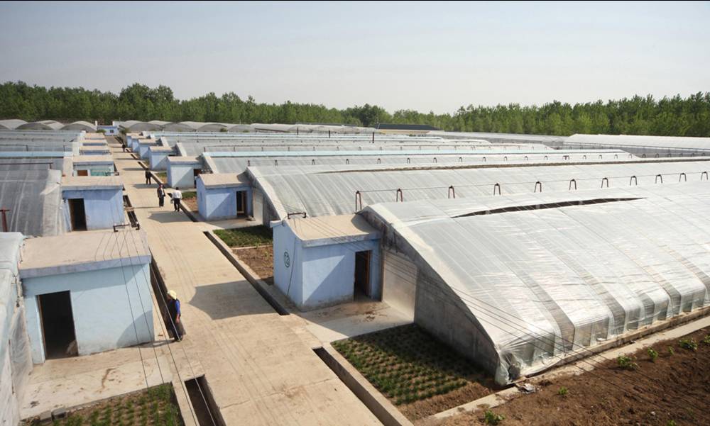 無土栽培，無土栽培技術(shù)，無土栽培設(shè)備