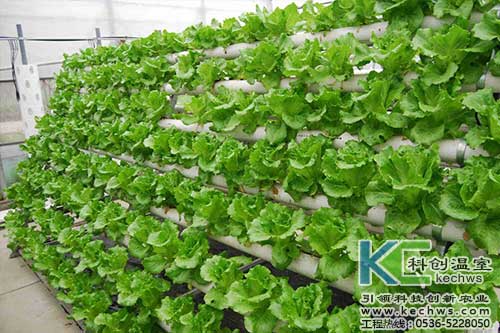 無土栽培，無土栽培技術，無土栽培設備