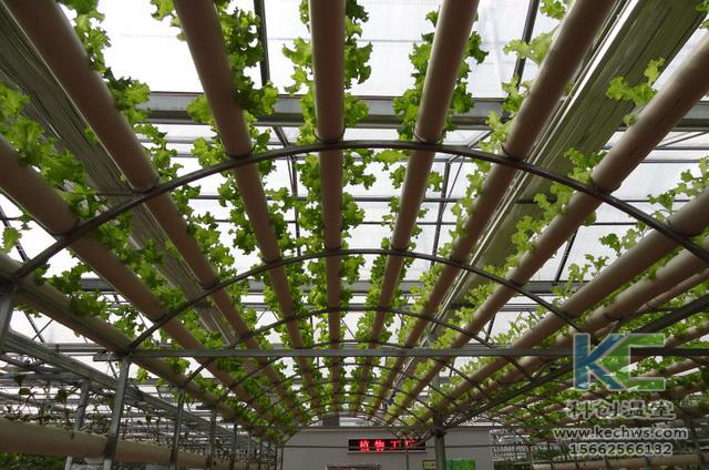 無(wú)土栽培，無(wú)土栽培技術(shù)，無(wú)土栽培設(shè)備