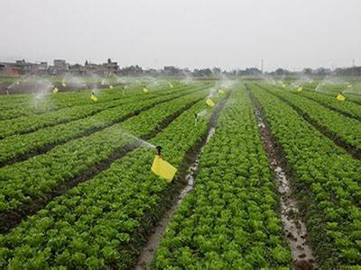 無土栽培，無土栽培技術(shù)，無土栽培設(shè)備