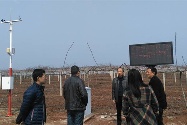 無土栽培，無土栽培技術，無土栽培設備