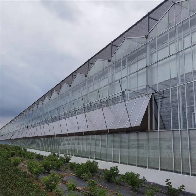 無土栽培,無土栽培技術,無土栽培設備