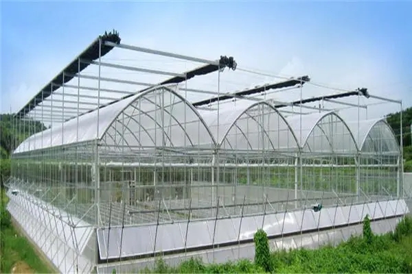 無土栽培，無土栽培技術(shù)，無土栽培設備