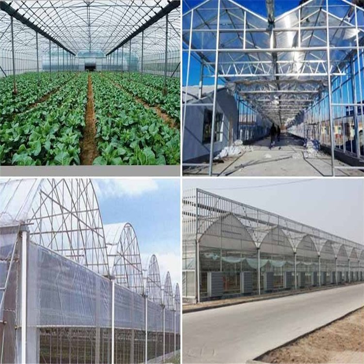 無(wú)土栽培，無(wú)土栽培技術(shù)，無(wú)土栽培設(shè)備