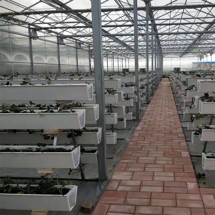 無(wú)土栽培，無(wú)土栽培技術(shù)，無(wú)土栽培設(shè)備