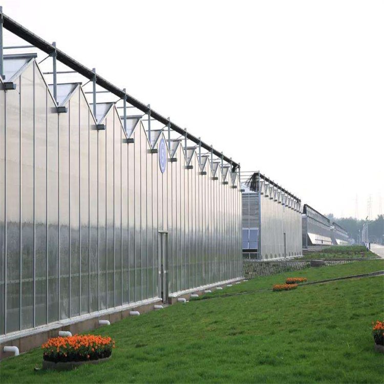 無(wú)土栽培,無(wú)土栽培技術(shù),無(wú)土栽培設(shè)備