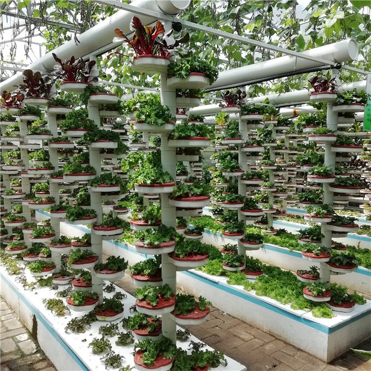 無土栽培,無土栽培技術(shù),無土栽培設(shè)備