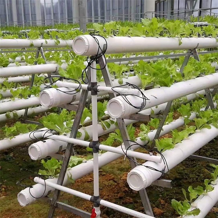 無土栽培,無土栽培技術,無土栽培設備