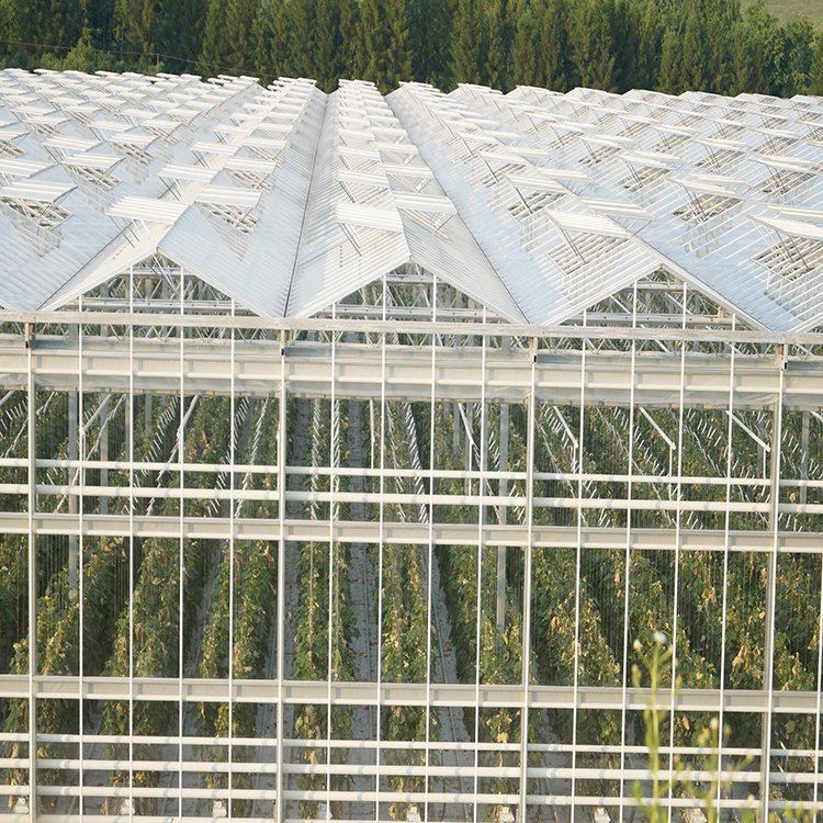 無(wú)土栽培，無(wú)土栽培技術(shù)，無(wú)土栽培設(shè)備