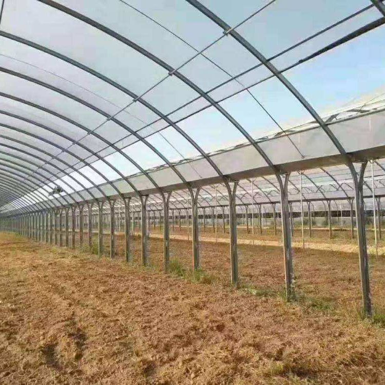 無土栽培，無土栽培技術，無土栽培設備