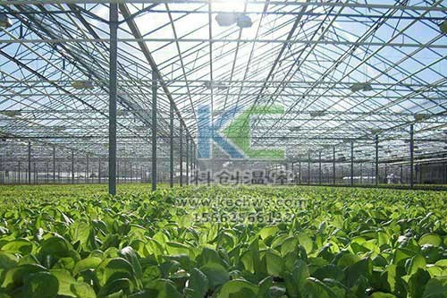 無土栽培，無土栽培技術，無土栽培設備