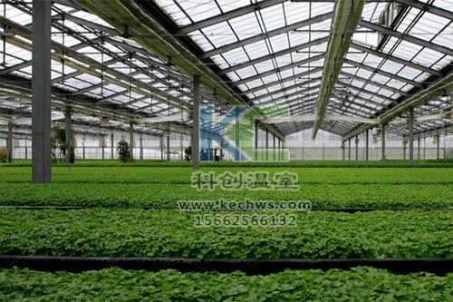 無土栽培，無土栽培技術，無土栽培設備