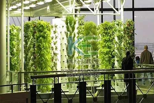 無土栽培，無土栽培技術，無土栽培設備