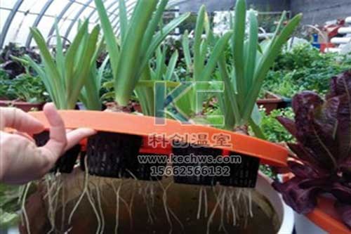 無土栽培，無土栽培技術，無土栽培設備