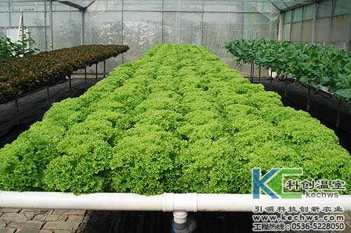 無(wú)土栽培,無(wú)土栽培技術(shù),無(wú)土栽培設(shè)備