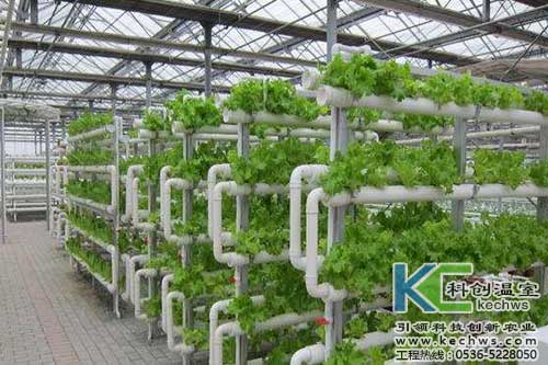 無土栽培,無土栽培技術,無土栽培設備