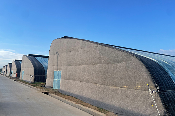 無土栽培，無土栽培技術，無土栽培設備