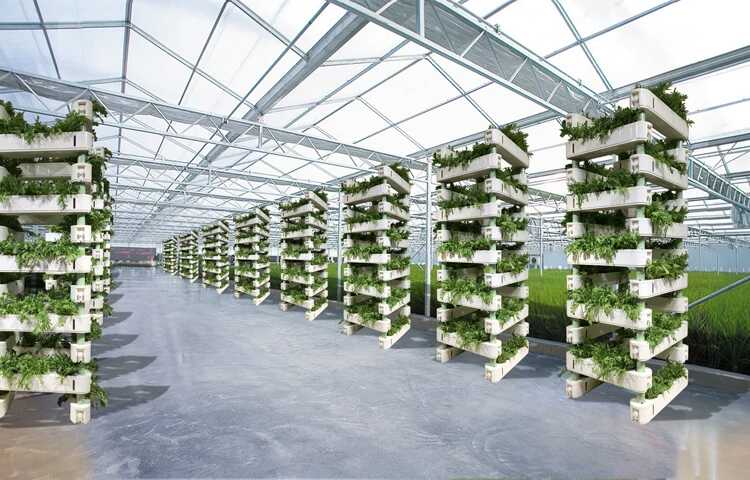 無土栽培，無土栽培技術，無土栽培設備