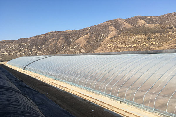 無土栽培，無土栽培技術，無土栽培設備