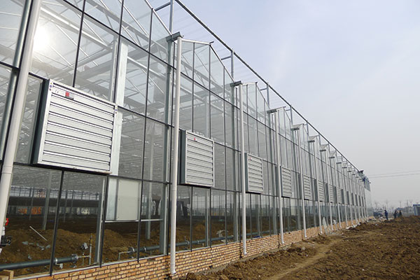 無土栽培,無土栽培技術(shù),無土栽培設(shè)備