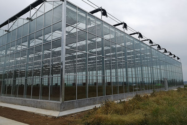 無(wú)土栽培，無(wú)土栽培技術(shù)，無(wú)土栽培設(shè)備