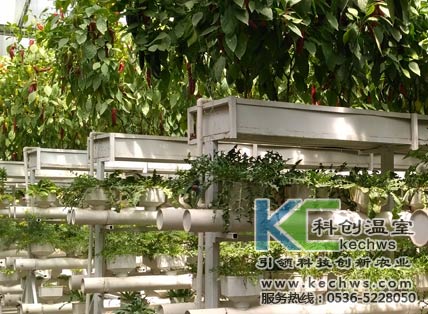 無土栽培，無土栽培技術，無土栽培設備