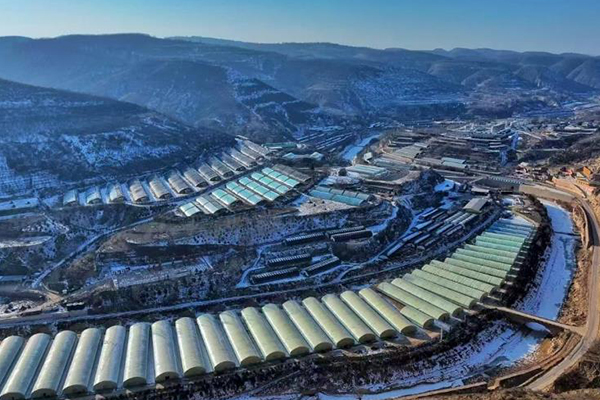 無土栽培，無土栽培技術，無土栽培設備